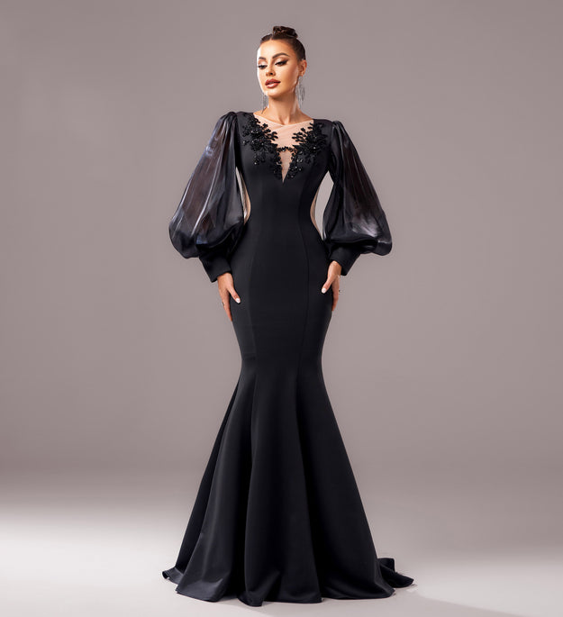 Long Sleeve Round Neck Banquet Applique Sheath Fishtail Dress